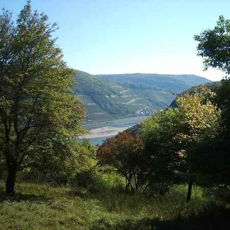 Daire Mit Balkon Und Rheinblick By Interhome Bacharach