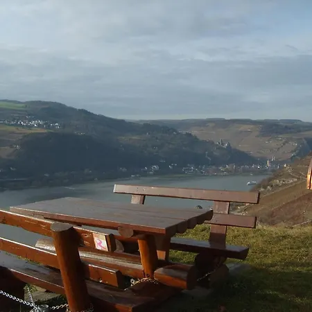 Daire Mit Balkon Und Rheinblick By Interhome *