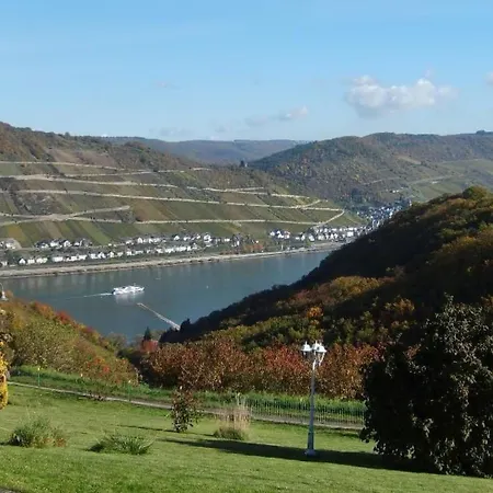 Daire Mit Balkon Und Rheinblick By Interhome Bacharach