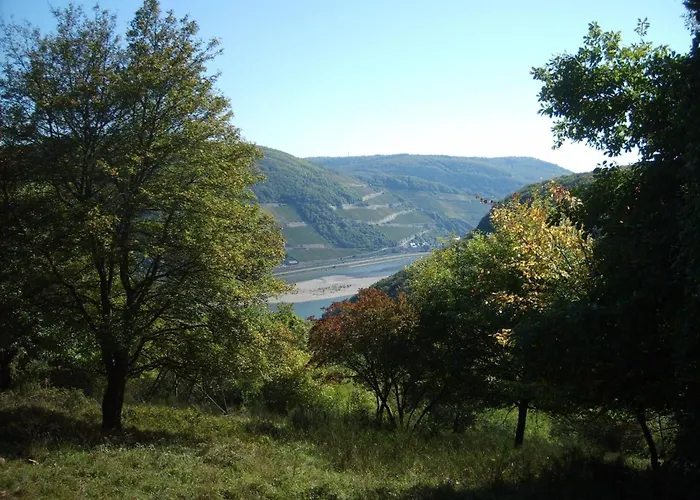 Apartamento Mit Balkon Und Rheinblick By Interhome Bacharach